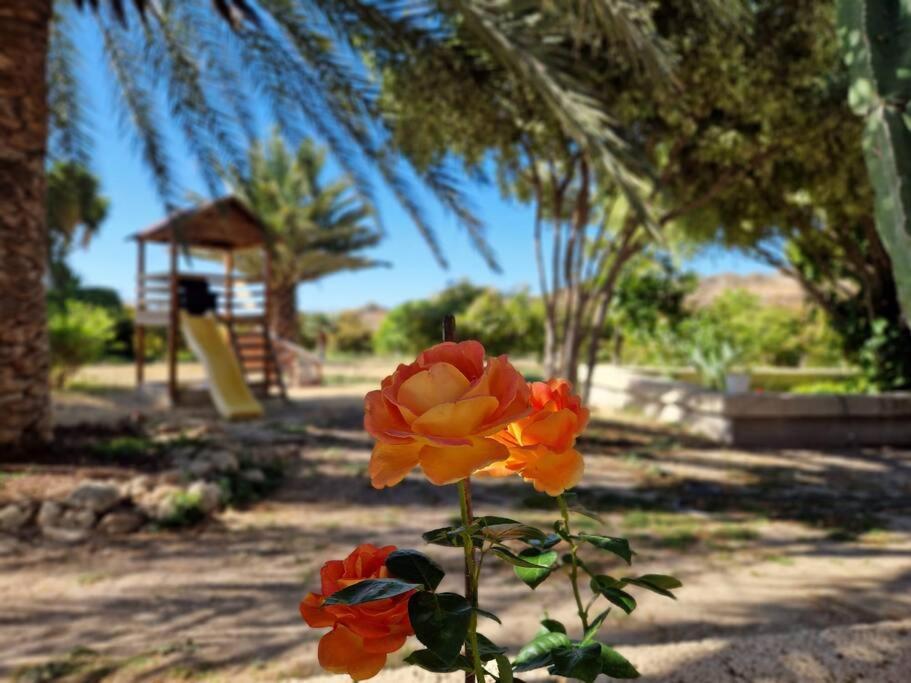 فيلا Private House With Pool & Garden غيمار المظهر الخارجي الصورة